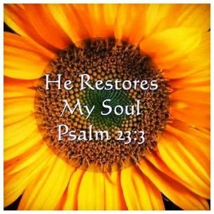 Meet your Posher, Aimee